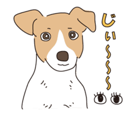 We love the Jack russel terrier! ! sticker #15080512