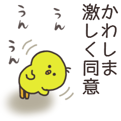 Ms.Kawashima usually uses it.