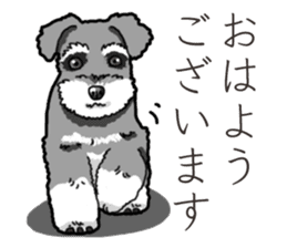 Wanko-Biyori miniature schnauzer sticker #15082460