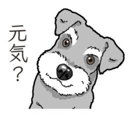 Wanko-Biyori miniature schnauzer sticker #15082461