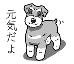 Wanko-Biyori miniature schnauzer sticker #15082462
