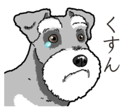 Wanko-Biyori miniature schnauzer sticker #15082464