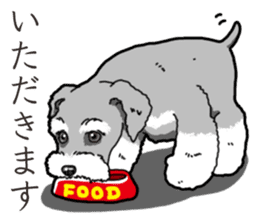 Wanko-Biyori miniature schnauzer sticker #15082465
