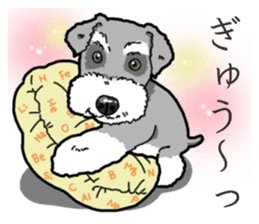Wanko-Biyori miniature schnauzer sticker #15082466