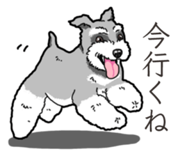 Wanko-Biyori miniature schnauzer sticker #15082468