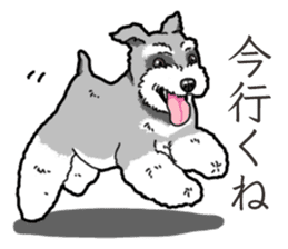 Wanko-Biyori miniature schnauzer sticker #15082468