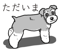 Wanko-Biyori miniature schnauzer sticker #15082472