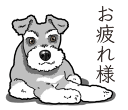 Wanko-Biyori miniature schnauzer sticker #15082473