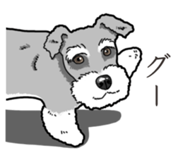 Wanko-Biyori miniature schnauzer sticker #15082474