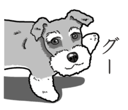 Wanko-Biyori miniature schnauzer sticker #15082474