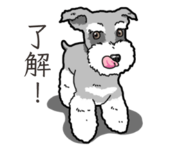 Wanko-Biyori miniature schnauzer sticker #15082475
