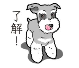 Wanko-Biyori miniature schnauzer sticker #15082475