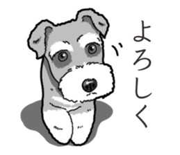 Wanko-Biyori miniature schnauzer sticker #15082477