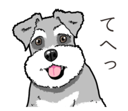 Wanko-Biyori miniature schnauzer sticker #15082478