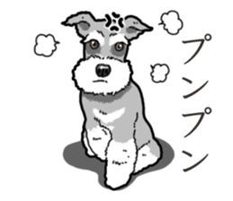 Wanko-Biyori miniature schnauzer sticker #15082480