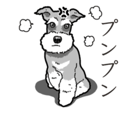 Wanko-Biyori miniature schnauzer sticker #15082480