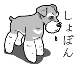Wanko-Biyori miniature schnauzer sticker #15082481