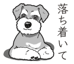 Wanko-Biyori miniature schnauzer sticker #15082483