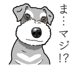 Wanko-Biyori miniature schnauzer sticker #15082484