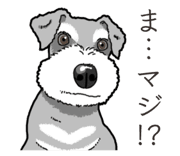 Wanko-Biyori miniature schnauzer sticker #15082484