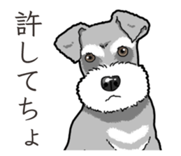 Wanko-Biyori miniature schnauzer sticker #15082486