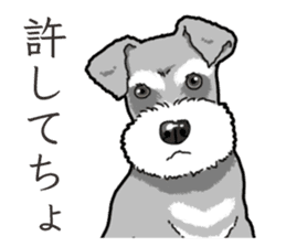Wanko-Biyori miniature schnauzer sticker #15082486