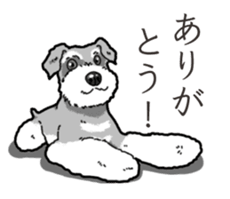 Wanko-Biyori miniature schnauzer sticker #15082489