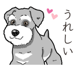 Wanko-Biyori miniature schnauzer sticker #15082490
