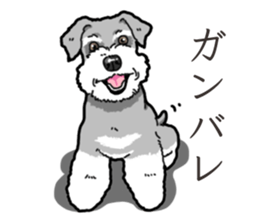 Wanko-Biyori miniature schnauzer sticker #15082493