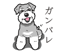 Wanko-Biyori miniature schnauzer sticker #15082493