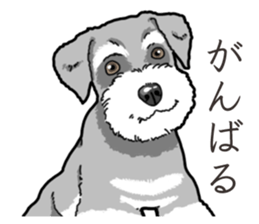 Wanko-Biyori miniature schnauzer sticker #15082494