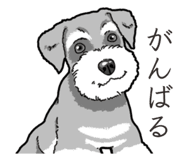 Wanko-Biyori miniature schnauzer sticker #15082494