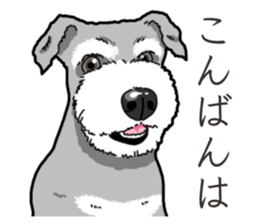 Wanko-Biyori miniature schnauzer sticker #15082496