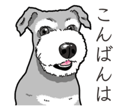 Wanko-Biyori miniature schnauzer sticker #15082496