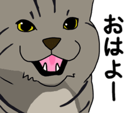 Tora cat! sticker #15082612