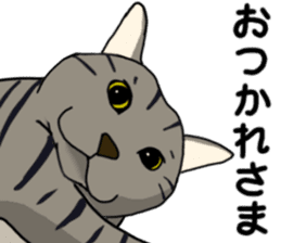 Tora cat! sticker #15082618