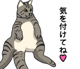 Tora cat! sticker #15082619