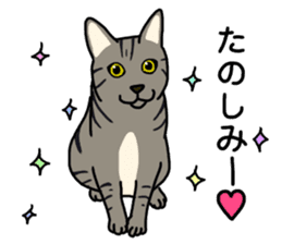 Tora cat! sticker #15082624