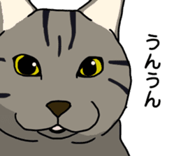 Tora cat! sticker #15082625