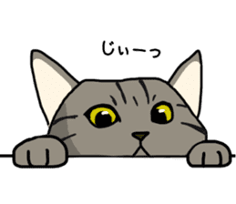 Tora cat! sticker #15082627