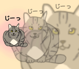 Tora cat! sticker #15082628