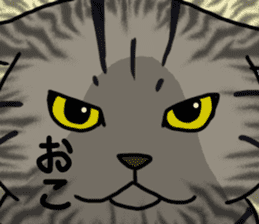 Tora cat! sticker #15082629
