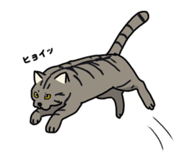 Tora cat! sticker #15082634