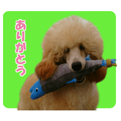 Mottyan & lovely friends