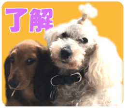 Mottyan & lovely friends sticker #15082844