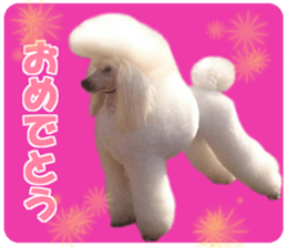 Mottyan & lovely friends sticker #15082846