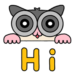 Sugar Glider Baby Wubao