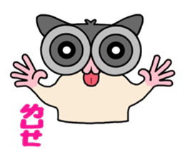 Sugar Glider Baby Wubao sticker #15083327