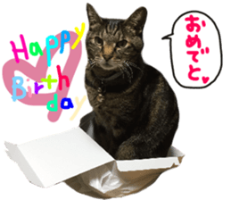 My cat Sticker.4 sticker #15083356