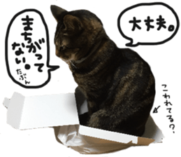 My cat Sticker.4 sticker #15083358